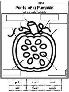 Parts of a Pumpkin Cut and Paste worksheet for kids