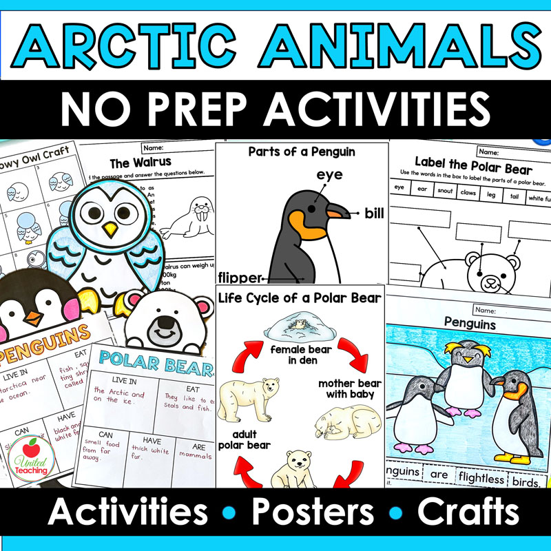Arctic and Polar Animals No Prep Activities
