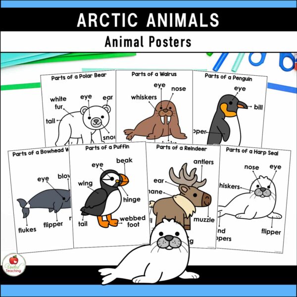 Polar Animals Activities Packet - Image 4