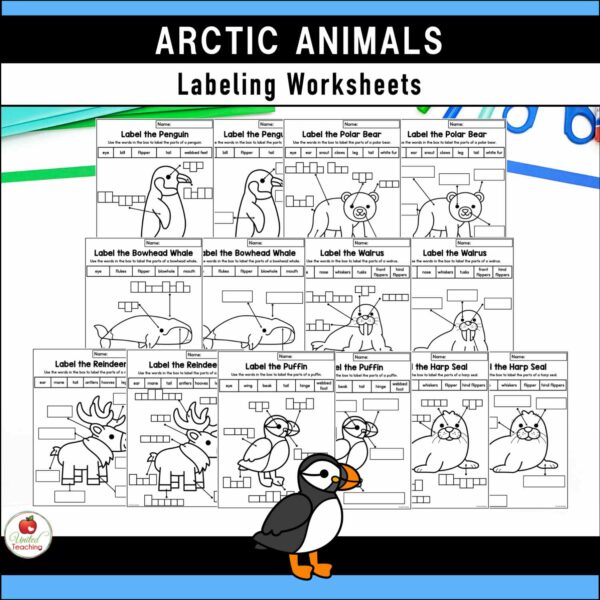 Polar Animals Activities Packet - Image 5