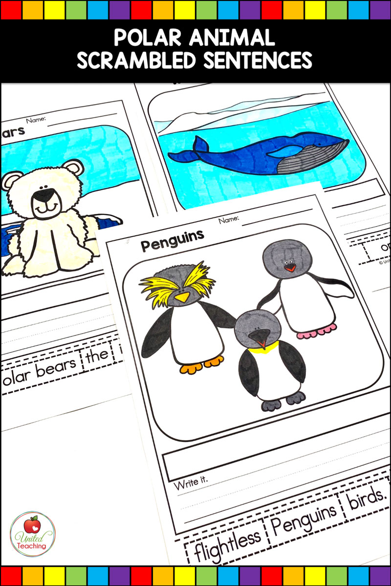 Polar Animals Sentence Building