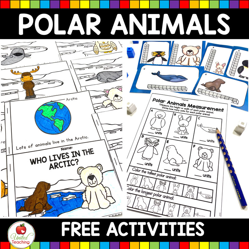 Polar Animals Activities Main Image