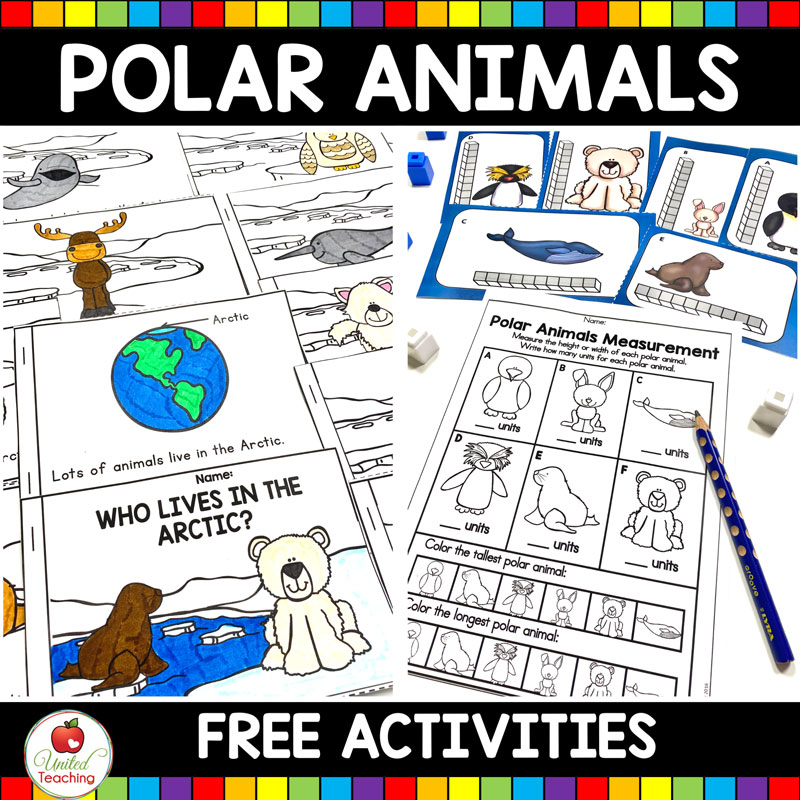 Arctic Animals Measurement, Polar Animals