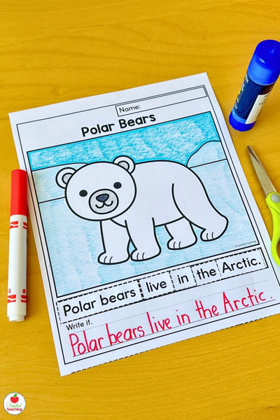 Polar bear scrambled sentence completed worksheet