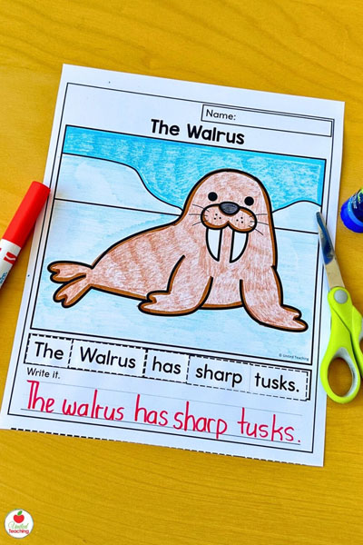 Walrus scrambled sentence worksheet