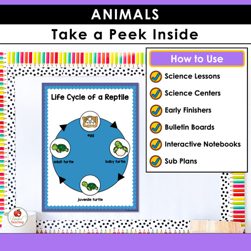 Animal Habitats Classification and Life Cycle Activities - Image 4
