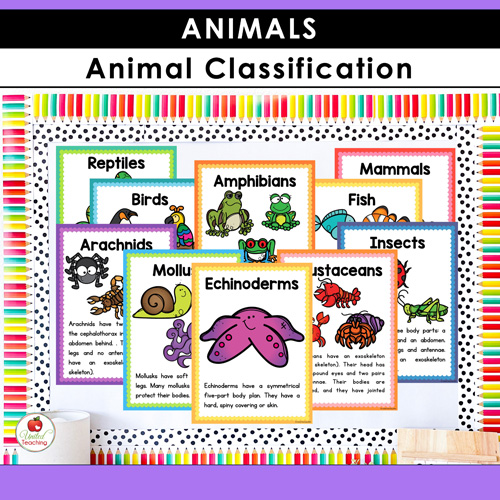 Animal Habitats Classification and Life Cycle Activities - Image 6
