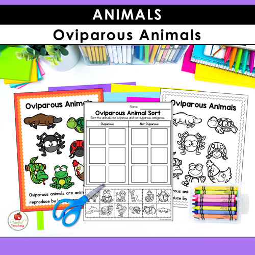 Animal Habitats Classification and Life Cycle Activities - Image 11