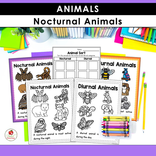 Animal Habitats Classification and Life Cycle Activities - Image 13