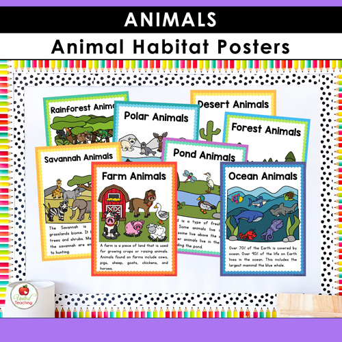 Animal Habitats Classification and Life Cycle Activities - Image 14