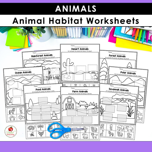 Animal Habitats Classification and Life Cycle Activities - Image 15