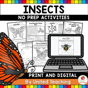 Insects No Prep Activities
