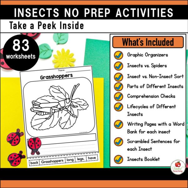 Insects and Bugs No prep Activities What's Included