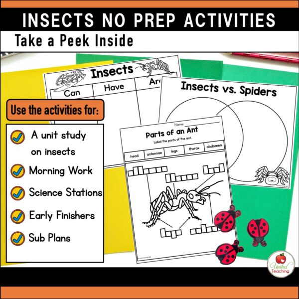 Insects and Bugs No prep Activities How to Use