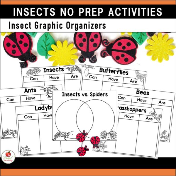 Insects and Bugs No prep Activities Graphic Organisers