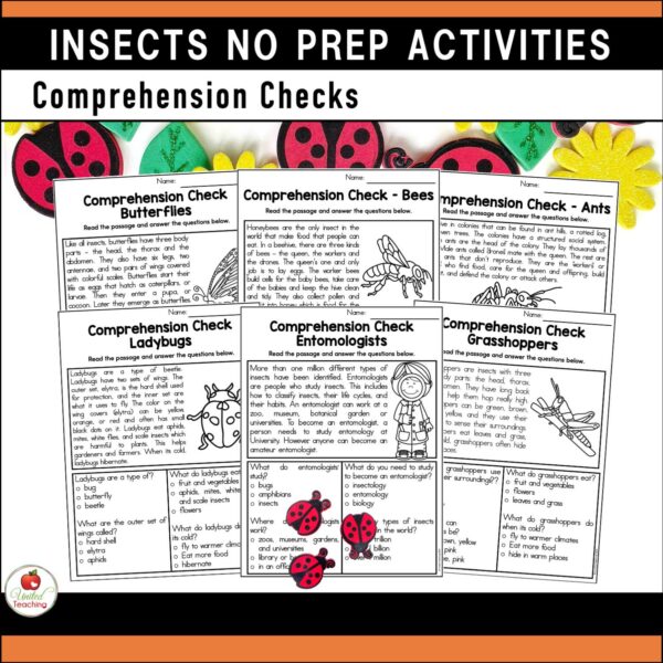 Insects and Bugs No prep Activities Comprehension Checks