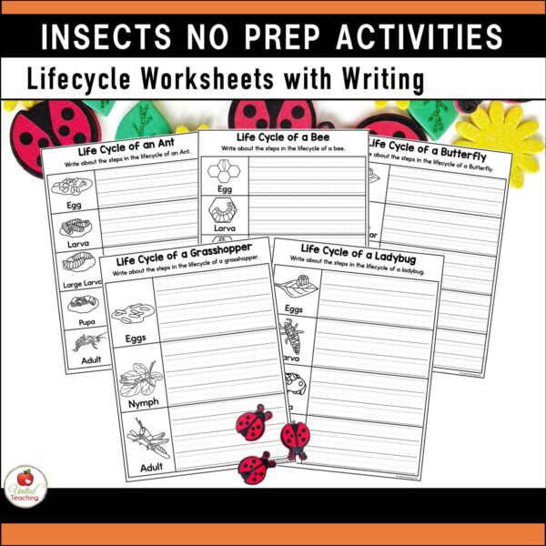 Insects and Bugs No prep Activities Lifecycle Sequence Writing Templates