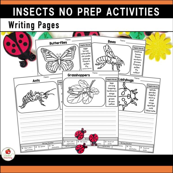 Insects and Bugs No prep Activities Writing Templates with Word Banks