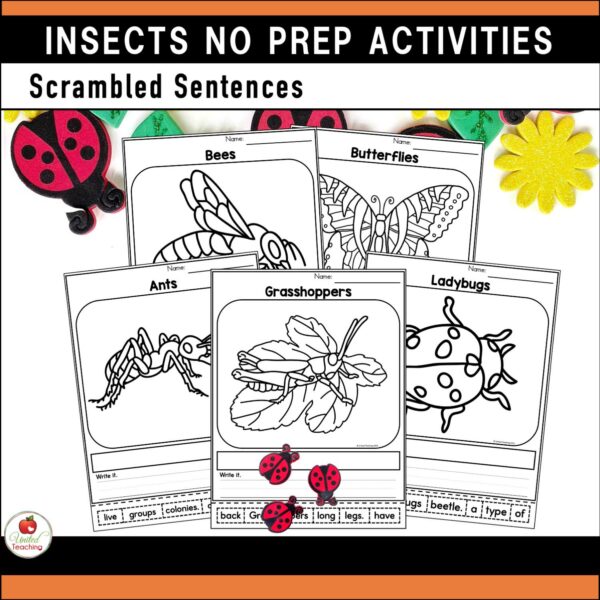 Insects and Bugs No prep Activities Scrambled Sentence