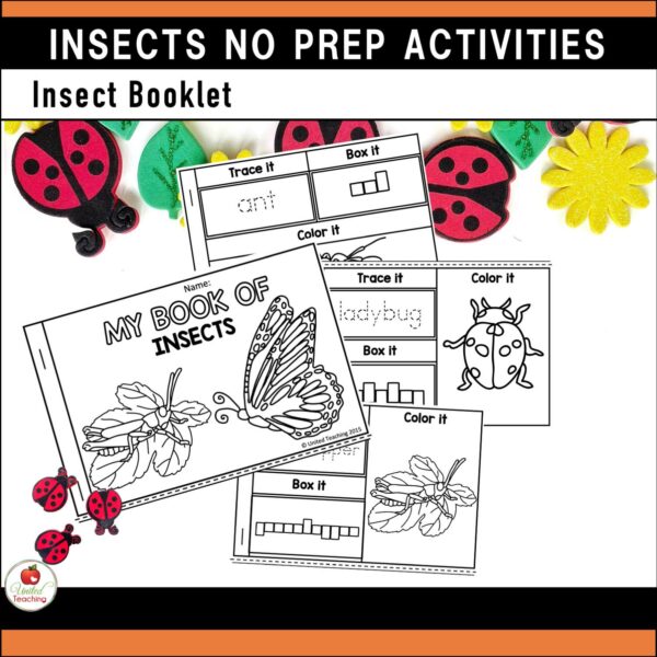 Insects and Bugs No prep Activities Insect Booklet