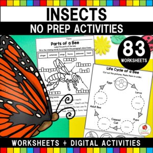 Insects and Bugs No prep Activities Cover
