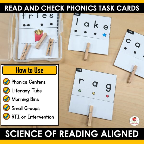 Read and Check Phonics Task Cards - Image 3