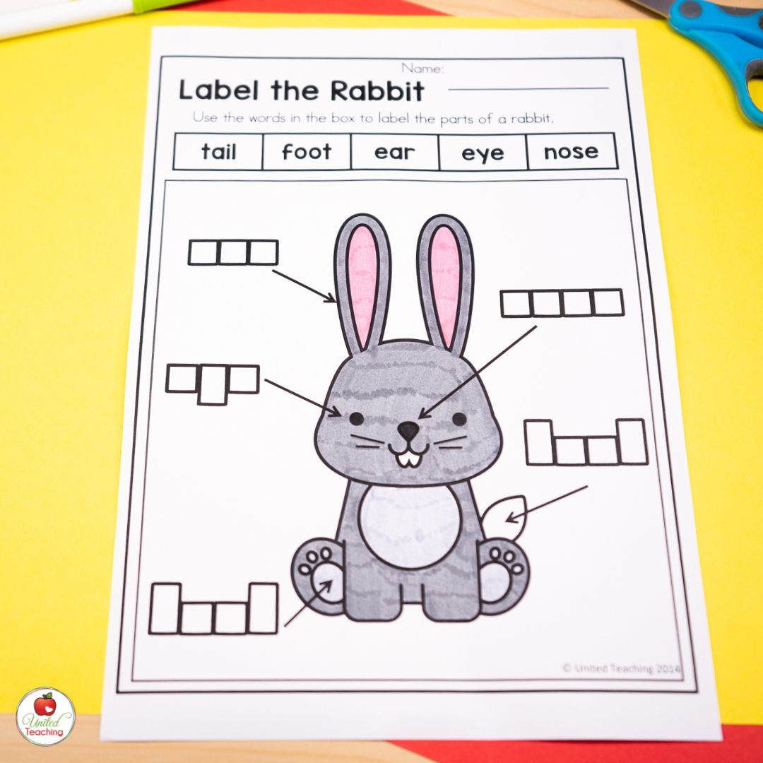 Label the Rabbit Chinese New Year worksheet