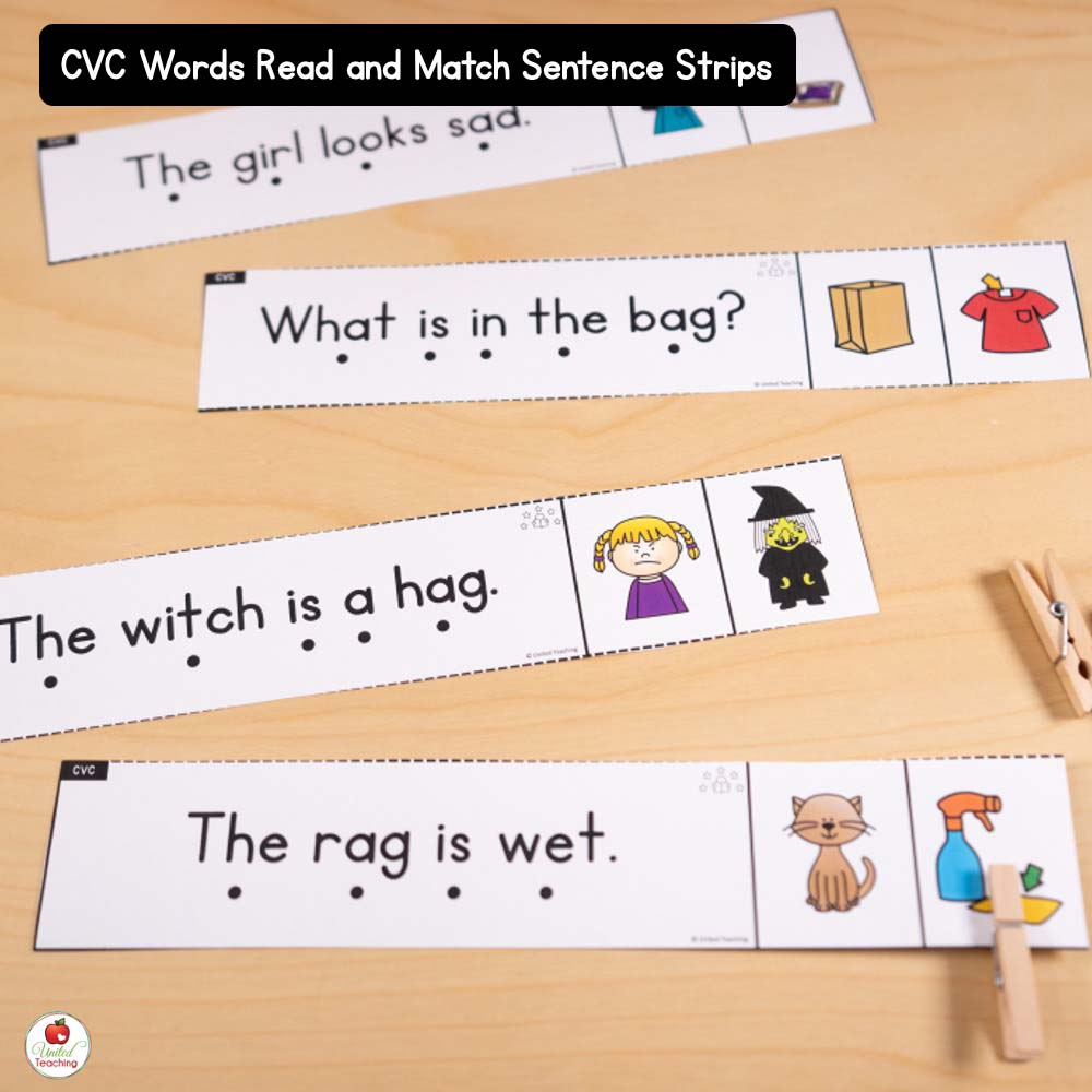 CVC Words Read and Match Sentence Strips
