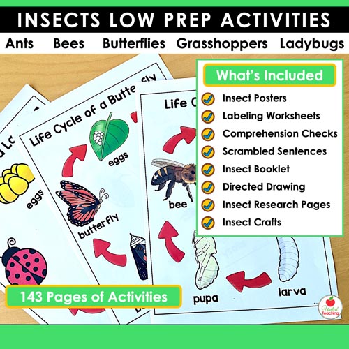Insects and Bugs Activities and Crafts - Image 2