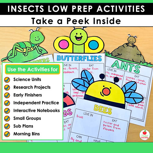 How to use the Insects Crafts and Activities Packet