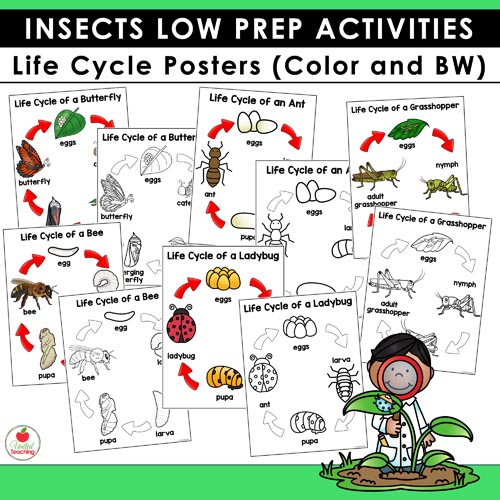 Insects and Bugs Activities and Crafts - Image 7