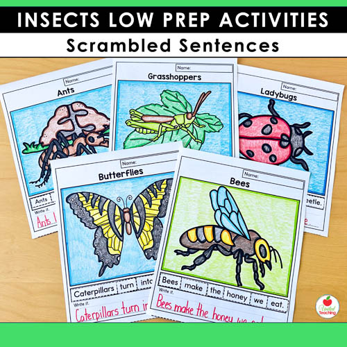 Insect Scrambled Sentences