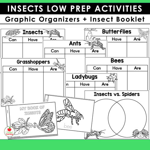 Insect Graphic Organizers