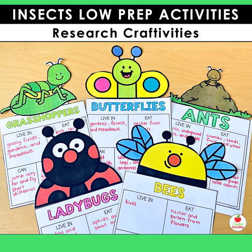 Insect Research Report writing pages with toppers
