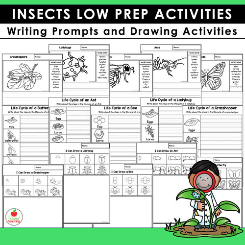 Insect writing prompts and directed drawing worksheets