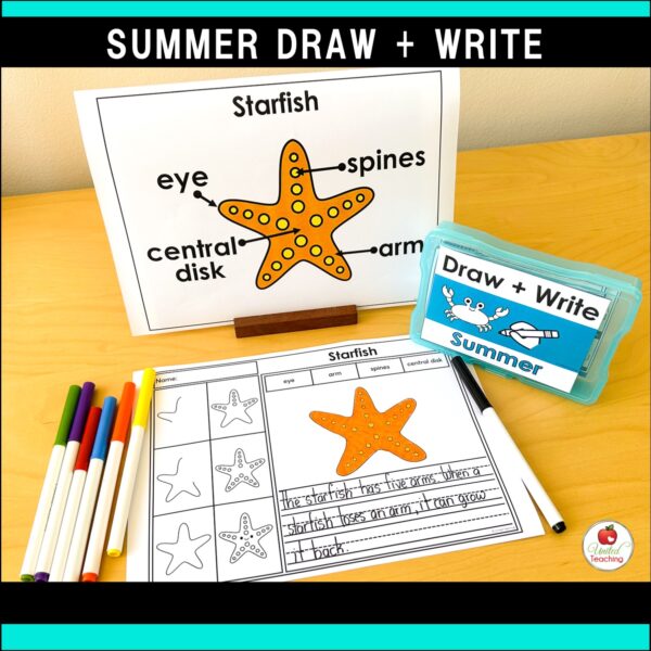 Summer Draw and Write Packet - Image 7