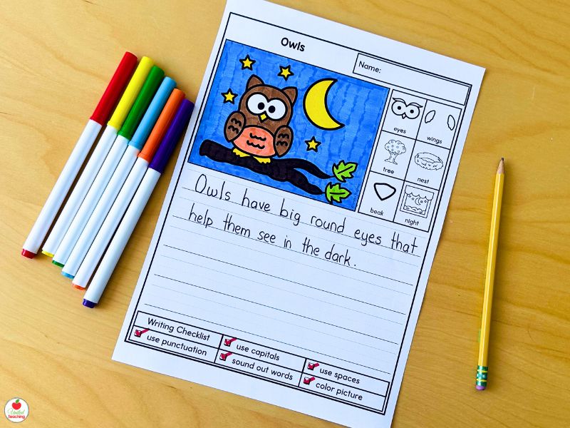 Owls Picture Writing Prompt for Fall and October