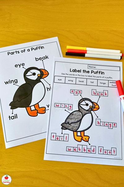 Parts of a Puffin Poster and Cut and paste Worksheet