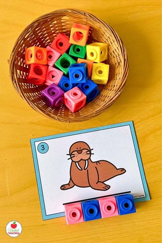 Walrus measurement task card