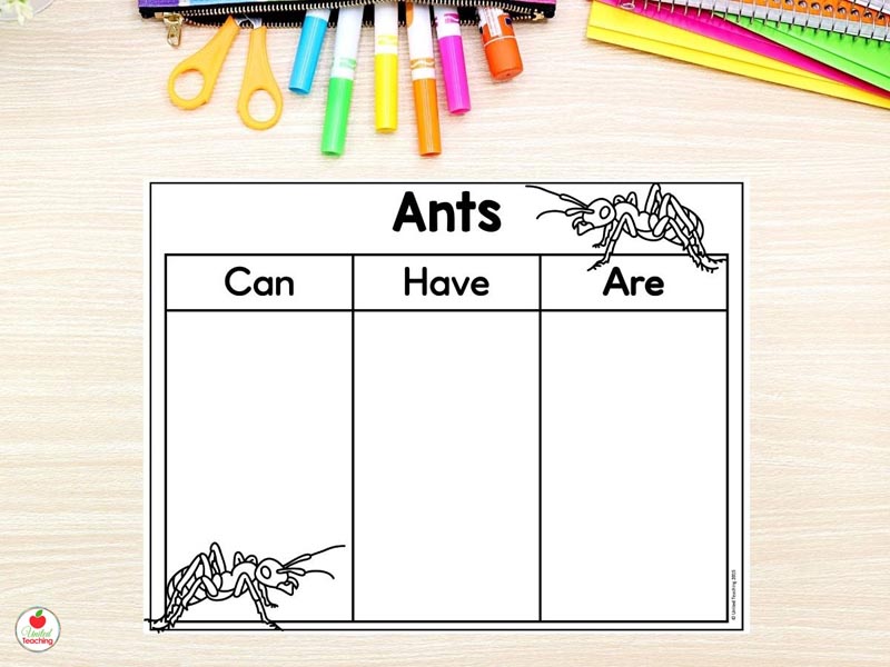 Ants Graphic Organizer Can Have Are