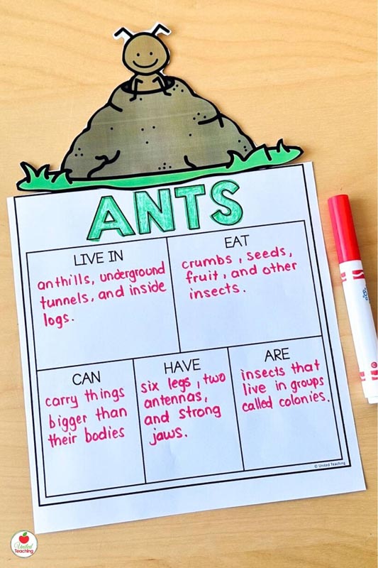 Ants Research Report Page and Topper for a fun craftivity