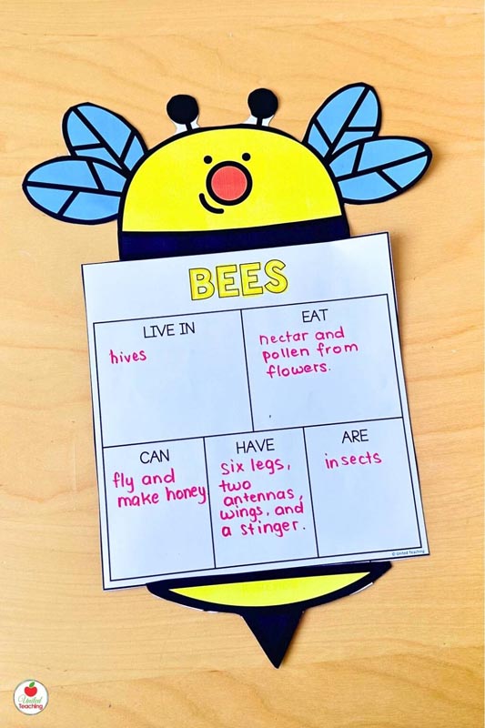 Bee Research Report Page and Topper for a fun craftivity