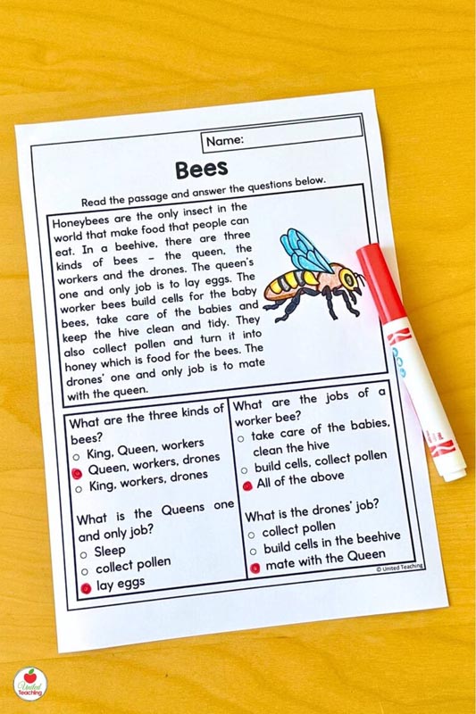 Bees comprehension passage worksheet