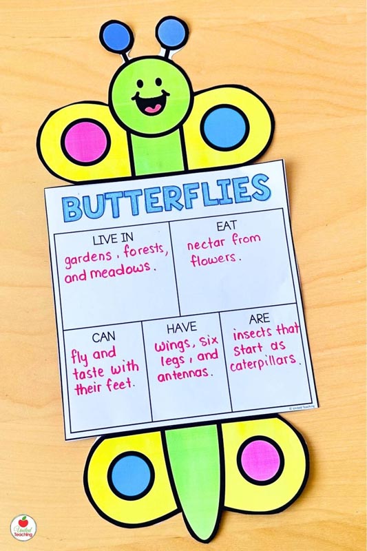 Butterflies Research Report Page and Topper for a fun craftivity