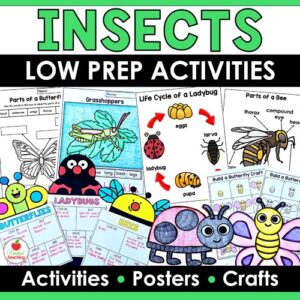 Insect activities and crafts