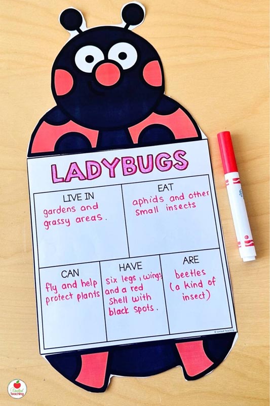 Ladybugs Research Report Page and Topper for a fun craftivity