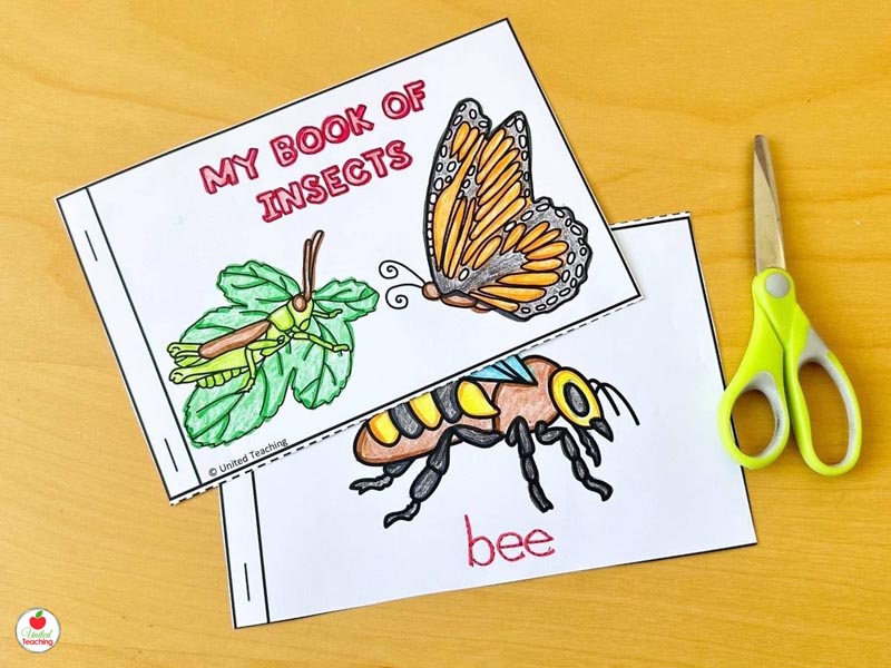 My Book of Insects free Printable booklet for kids to make