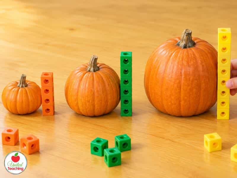 Three real pumpkins of different sizes measured with orange, green, and yellow math cube towers